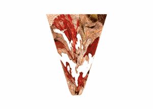 Women Fire & Ice Pubic Tattoo