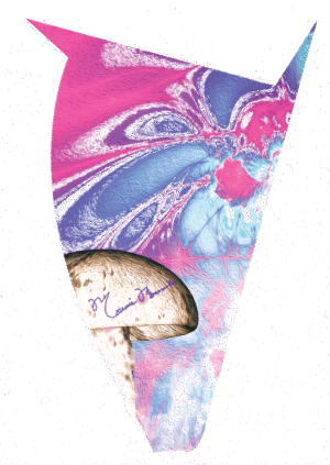Hallucingenic Mushroom Tattoo